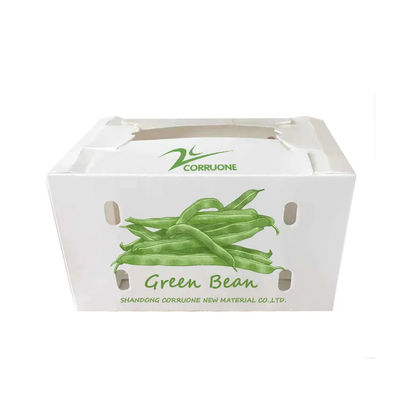Boîte à légumes en polypropylène coroplastique personnalisée boîte d'emballage en plastique ondulé en PP