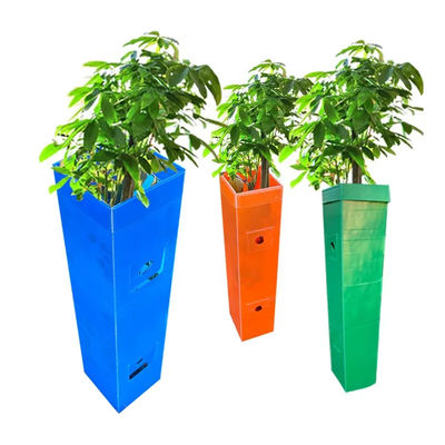 Polypropylene Corrugated Plastic Tree Guard Protector Sapling From Rodents Bites