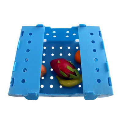 Boîte en plastique ondulé en PP boîte d'emballage de fruits en corflute personnalisée recyclable