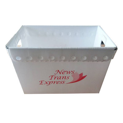 Boîte en plastique ondulée imperméable personnalisée