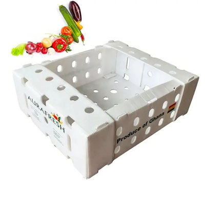 Boîte en plastique ondulé en PP Boîte d'emballage de fruits en coroplastique personnalisée pliable recyclable