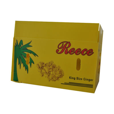 Boîte en plastique ondulé en PP Boîte d'emballage de fruits en coroplastique personnalisée pliable recyclable