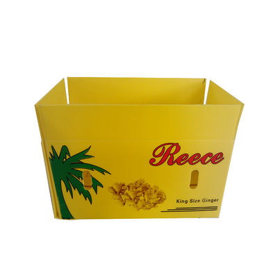 Boîte en plastique ondulé en PP Boîte d'emballage de fruits en coroplastique personnalisée pliable recyclable