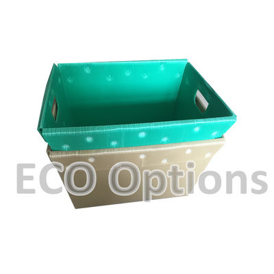Recyclage de boîte en plastique ondulé en PP Boîte d'emballage en coroplastique personnalisée pliable ECO