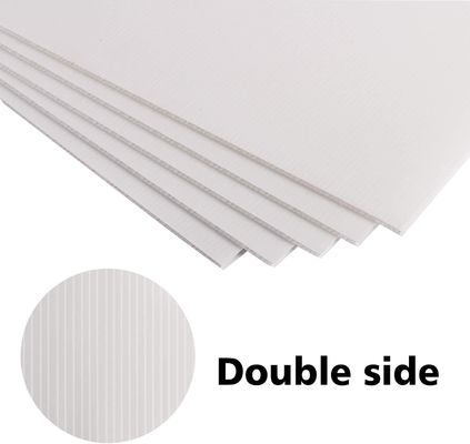 Débloquez le potentiel de la feuille de coroplastes en PP dans vos emballages et vos publicités