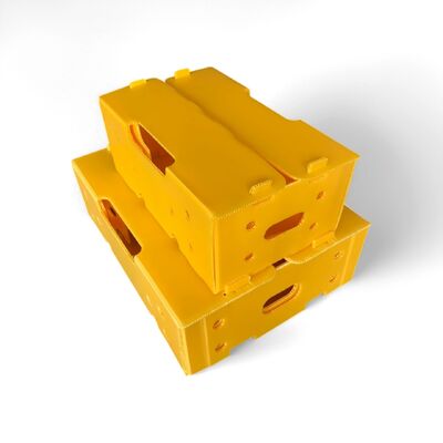Boîte en carton creux en PP légère et résistante aux chocs, fabriquée à partir de matériaux recyclables, durable, réutilisable et idéale pour des solutions d'emballage écologiques.