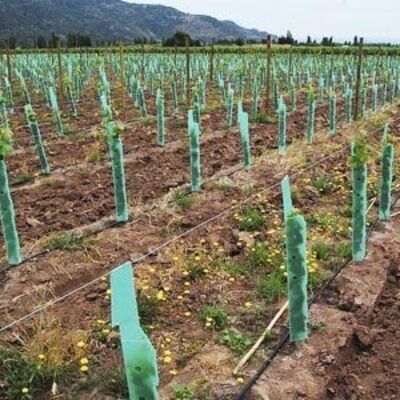 PP Tree Guard est léger, durable, imperméable et facile à installer. Il protège les jeunes arbres du vent, des animaux et des dommages, avec des tailles, des couleurs, des épaisseurs et des motifs personnalisables.
